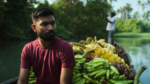 Banana still