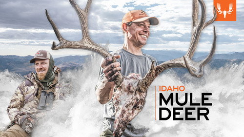 MeatEater Season 12 Episode 4 - Idaho Mule Deer