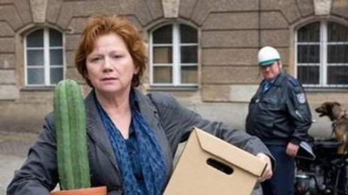 undefined Season 39 Episode 8 - Fremde im Spiegel