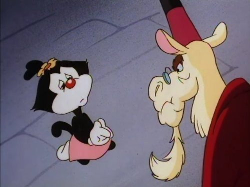 Animaniacs Season 1 Episode 20 - Wally Llama