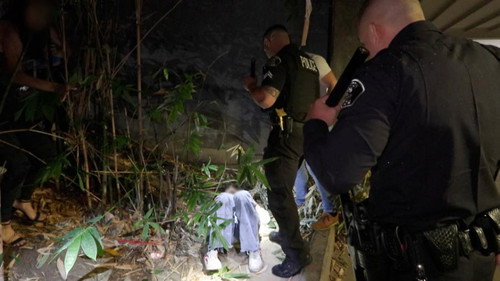 Apartment Stabbing still