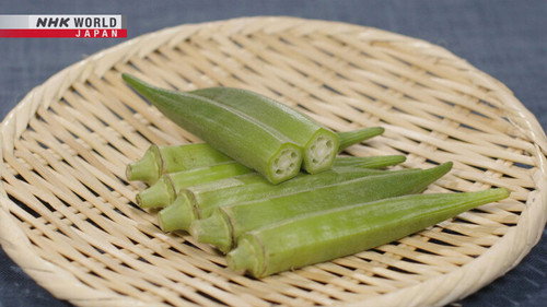Trails to Oishii Tokyo Season 7 Episode 17 - Okra