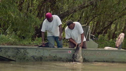 Swamp People Season 16 Episode 13 - Silent Assassins