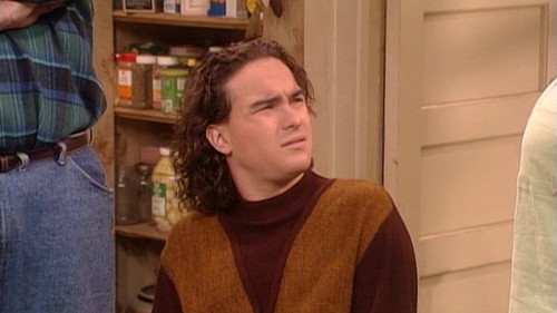 Roseanne Season 7 Episode 24 - The Birds and the Frozen Bees