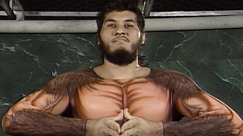 WWF Superstars Season 8 Episode 18 - Superstars - May. 01, 1993