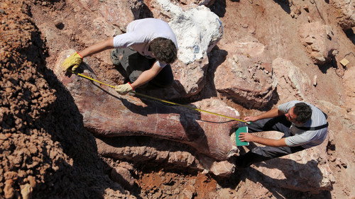 Nature Season 34 Episode 11 - Raising the Dinosaur Giant