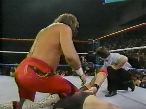 December 10, 1988 - Superstars of Wrestling 119 still