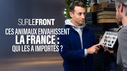 Sur le front Season 6 Episode 2 - Episode 2