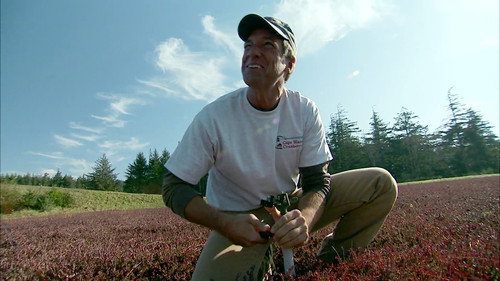Dirty Jobs Season 4 Episode 5 - Cranberry Farmer