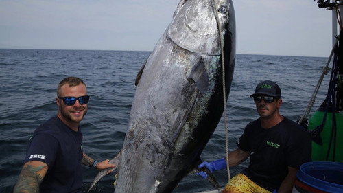 Wicked Tuna Season 4 Episode 16 - Too Close to Call