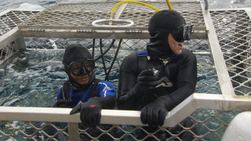 Bushwhacked! Season 1 Episode 6 - Great White Shark