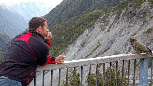 Deadly 60 Season 3 Episode 8 - New Zealand