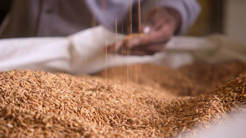 The Rice Kingdom still