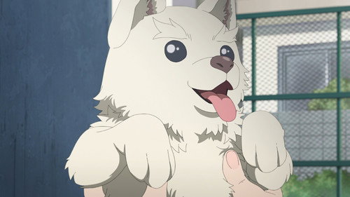 A Mangaka's Weirdly Wonderful Workplace Season 1 Episode 9 - A Treasure I Found on a Walk.