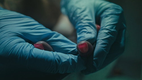 El forense Season 1 Episode 5 - Episode 5