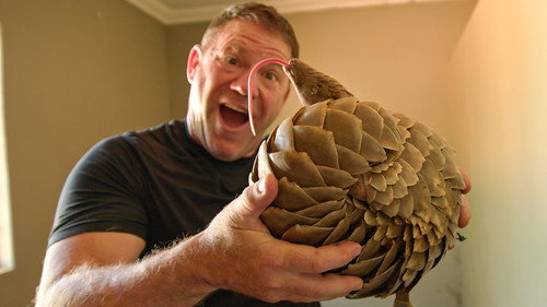 Deadly 60 Season 5 Episode 5 - Saving the Pangolins