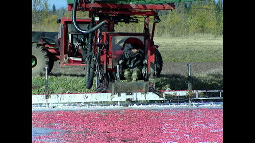 How It's Made Season 3 Episode 1 - Pre-Inked Stamps, Cranberries, Cotton Yarn, Road Signs