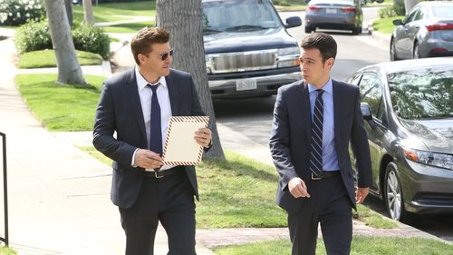 Bones Season 10 Episode 20 - The Woman in the Whirlpool