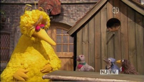 Sesame Street Season 42 Episode 9 - The Good Birds Club