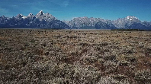 PARK'D with Abby Hornacek Season 3 Episode 3 - Grand Teton