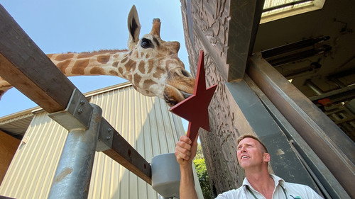 Secrets of the Zoo: Down Under Season 1 Episode 10 - Giraffe-Ic Park