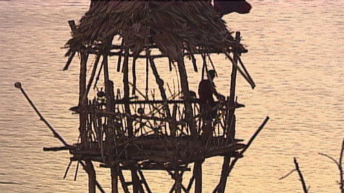 Survivor Season 14 Episode 10 - It's a Turtle?!