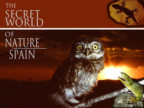 The Secret World of Nature: Spain Season 1 Episode 4 - Plains and Watercourses