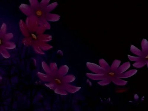 Flower Angel Season 1 Episode 24 - The Miracle Flower Key
