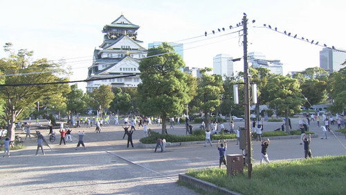 Osaka Castle Park: The Park That Never Sleeps still