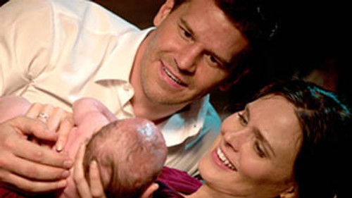Bones Season 7 Episode 7 - The Prisoner in the Pipe