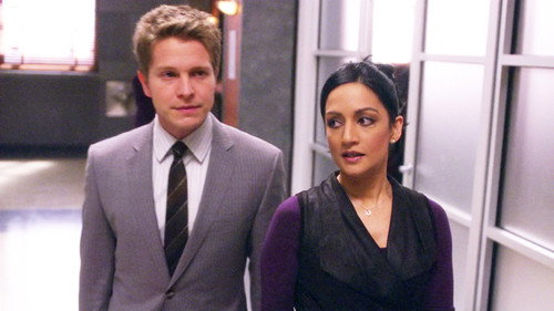 The Good Wife Season 2 Episode 12 - Silly Season