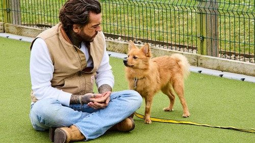 Pete Wicks: For Dogs’ Sake Season 4 Episode 2 - The Spitz Gang and Cherub Too