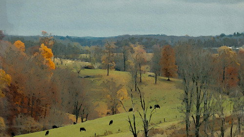 Independent Lens Season 25 Episode 12 - Greener Pastures