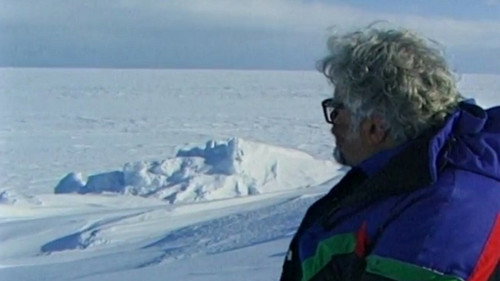 Tourists by Chance Season 8 Episode 2 - Pole - Equator