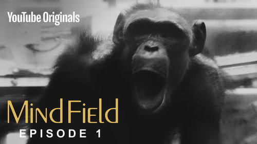 Mind Field Season 3 Episode 1 - The Cognitive Tradeoff Hypothesis