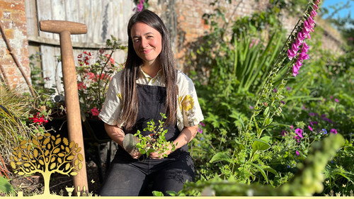 Gardeners' World Season 57 Episode 14 - Episode 14
