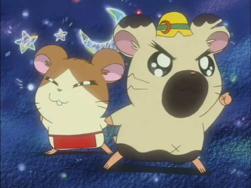 Hamtaro and the Space Ship! still