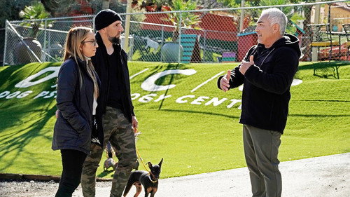 Cesar Millan: Better Human, Better Dog Season 5 Episode 4 - Protection vs. Affection