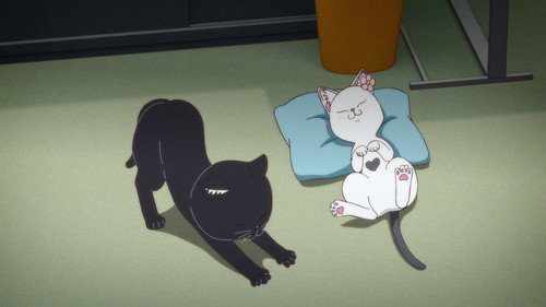 Ramen Akaneko Season 1 Episode 2 - 2nd Serving: "Hana-chan's Professionalism" "The Tiger in the Noodle Room"