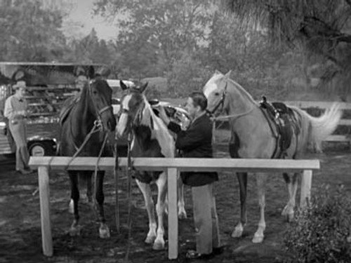 Mister Ed Season 2 Episode 8 - Mister Ed's Blues