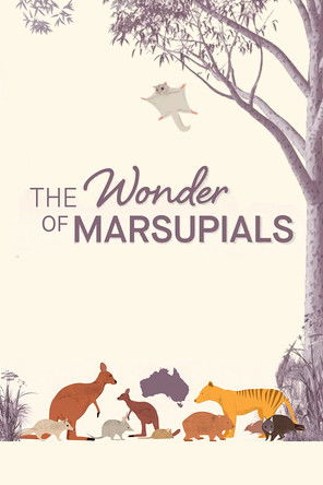 The Wonder of Marsupials poster