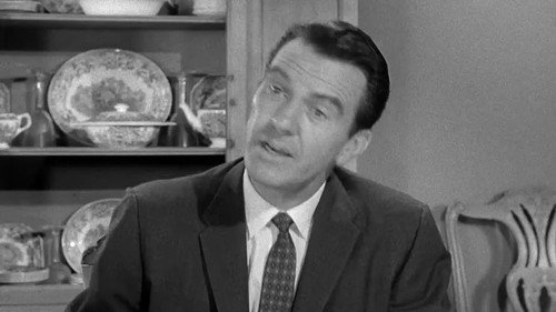 Leave It to Beaver Season 1 Episode 33 - Wally's Job