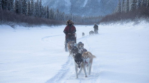 Life Below Zero Season 17 Episode 1 - Winter’s Surprise