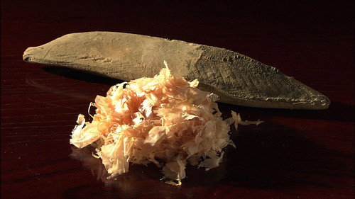 Katsuobushi still
