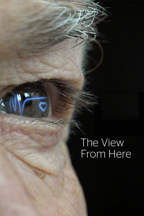 The View from Here poster