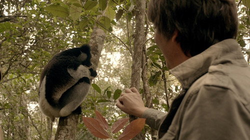 Wonders of Life Season 1 Episode 3 - Endless Forms Most Beautiful