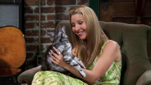 undefined Season 4 Episode 2 - The One with the Cat