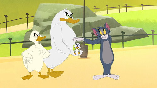 Tom and Jerry in New York Season 1 Episode 1 - Put a Ring on It / Come Fly with Me / Bubble Gum Crisis / Mousequerade