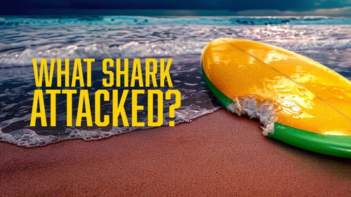 Shark Week Season 39 Episode 13 - What Shark Attacked?