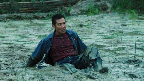 Yuan Longping's Dream (5) still